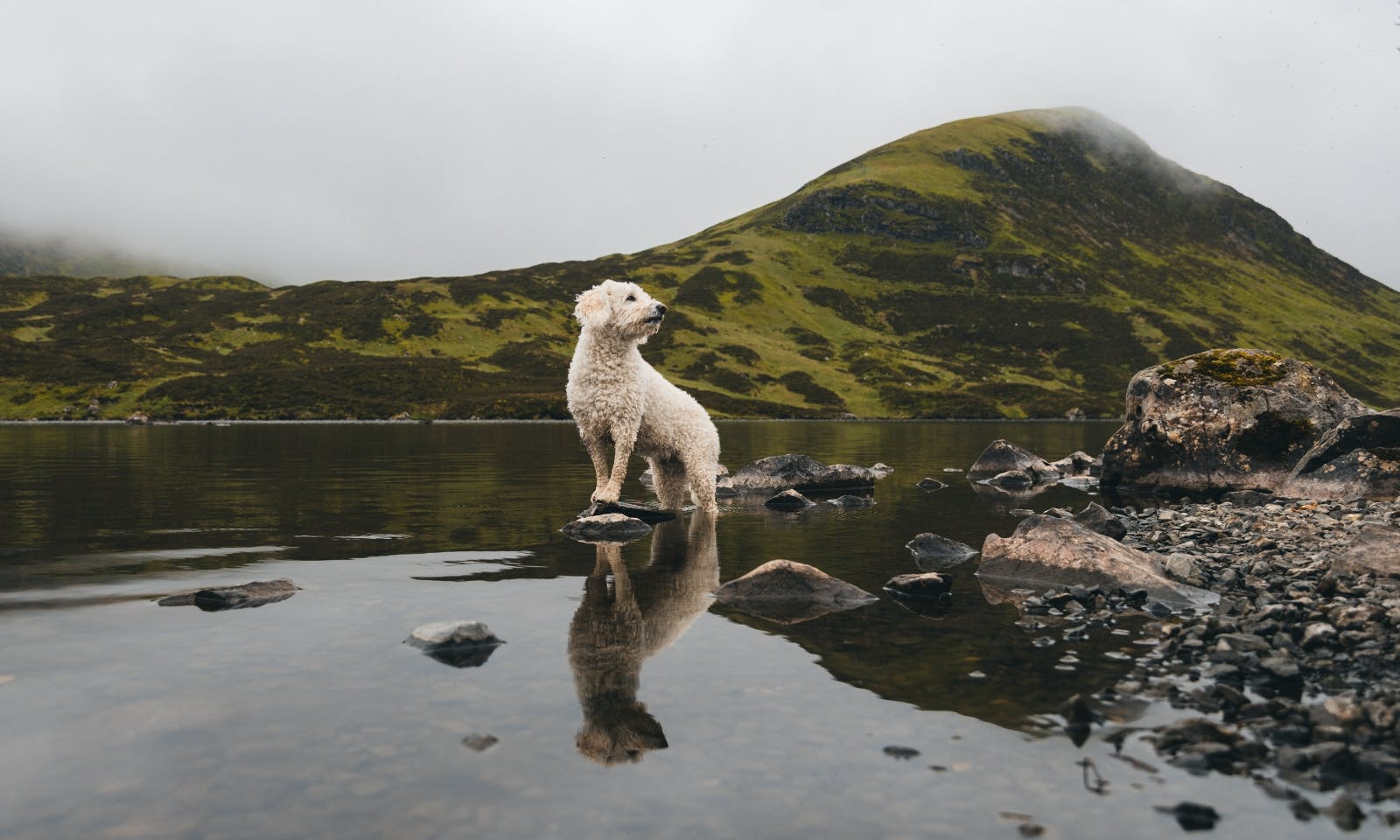 Mit Hund in der Grey Mare's Tail Nature Reserve, Schottland