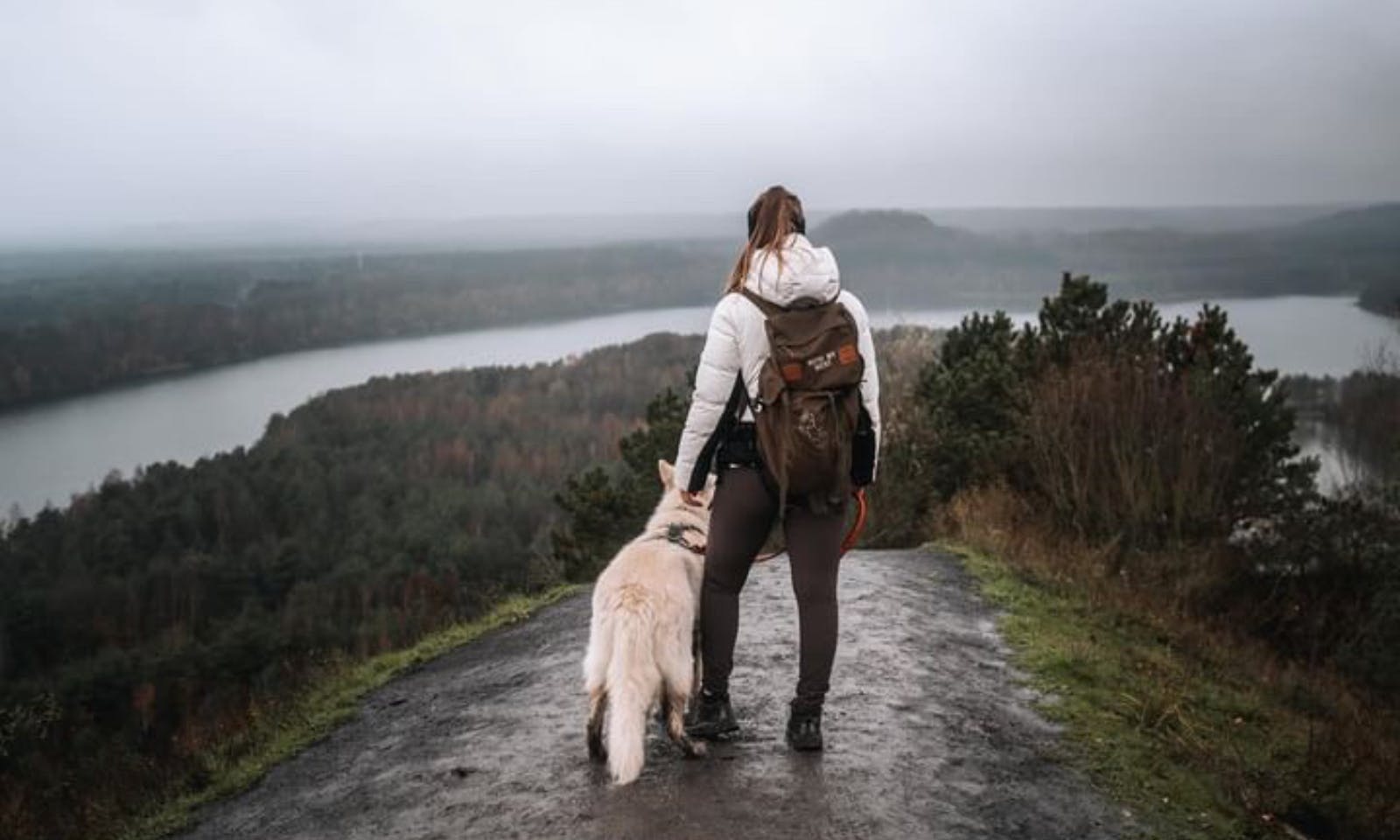 Nationalpark Connecterra, Belgien mit Hund
