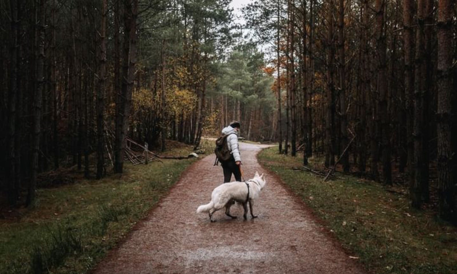 Nationalpark Connecterra, Belgien mit Hund