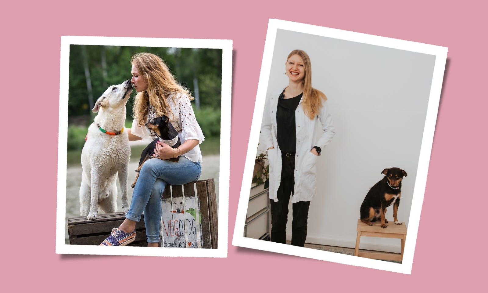 Vegane Hundeernährung: Mythen, Fakten und Einblicke von VEGDOG