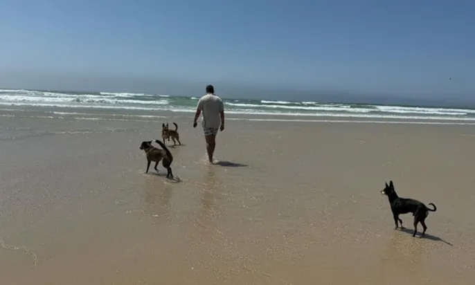 Hundefreundliche Strände in Figueira da Foz, Portugal