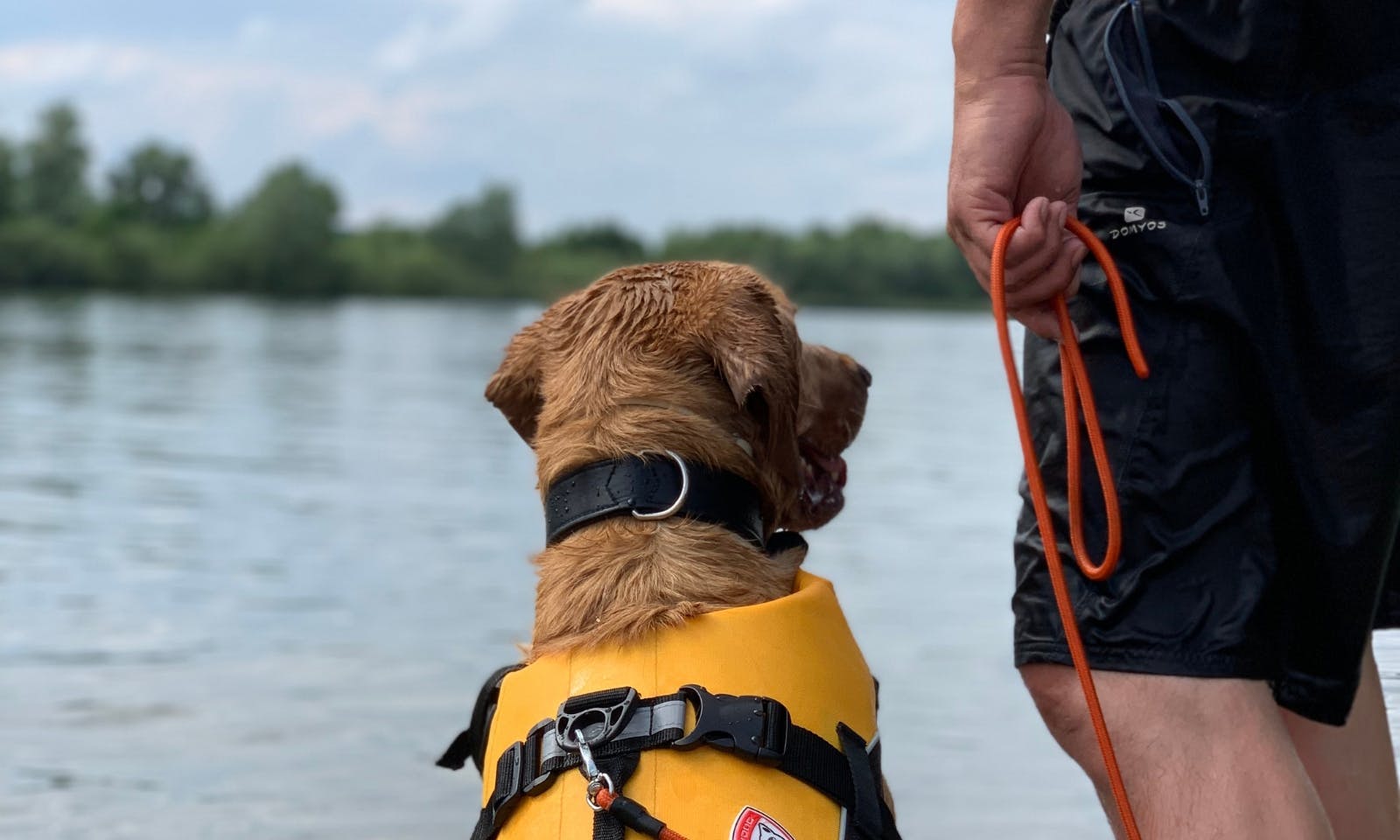 Hundefreundlicher Badesee Stemmer See