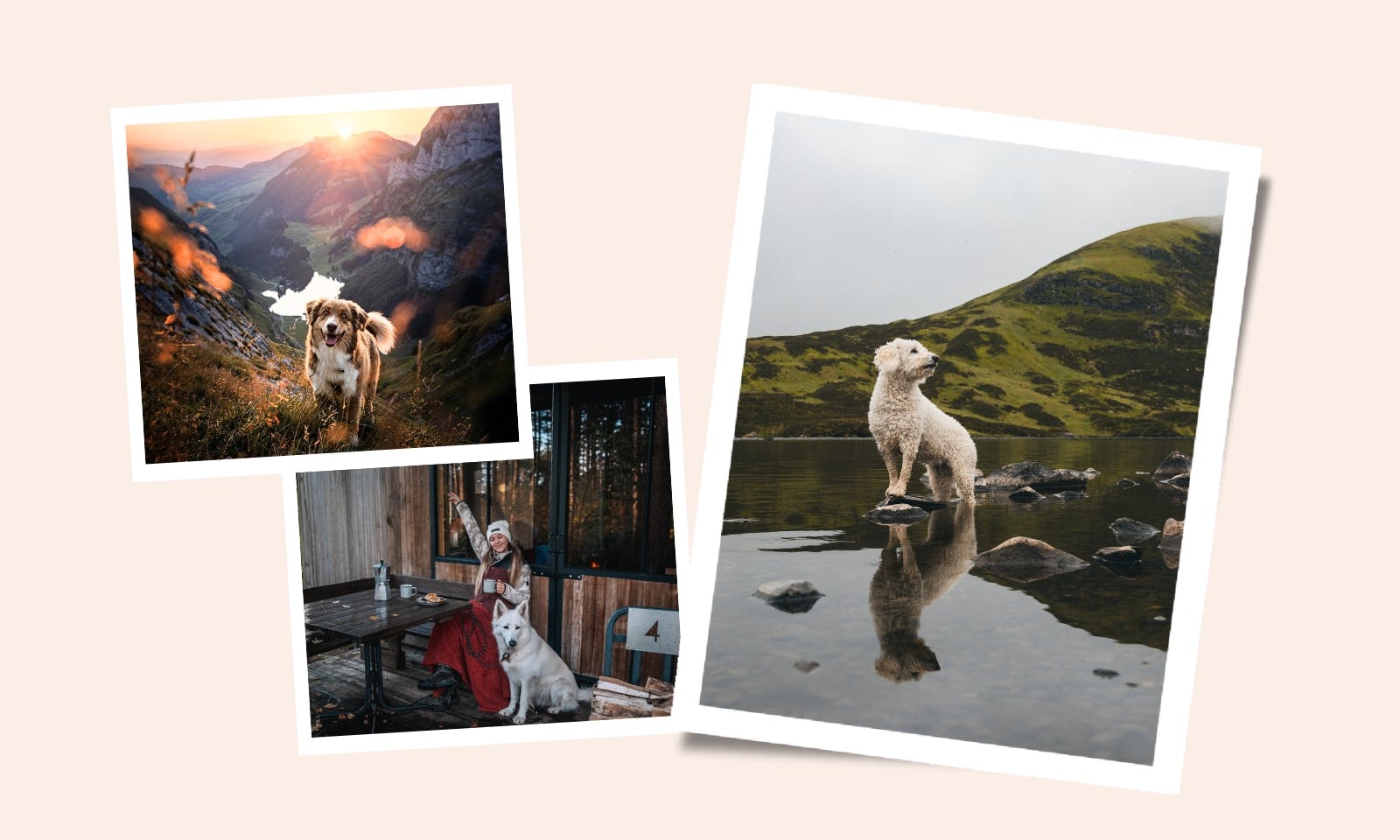 Urlaub mit Hund: Geheimtipps von Hundemenschen