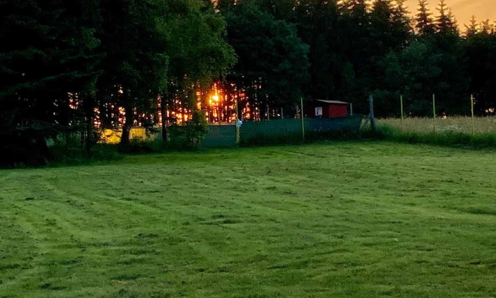 Windhund-Paradies in der Natur des Westerwaldes