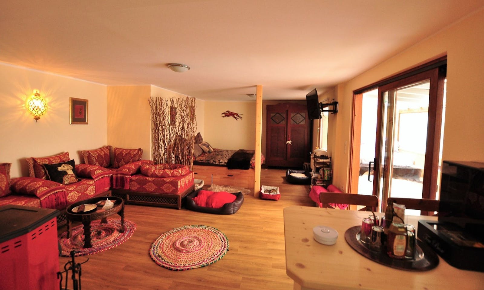 Windhund-Paradies in der Natur des Westerwaldes