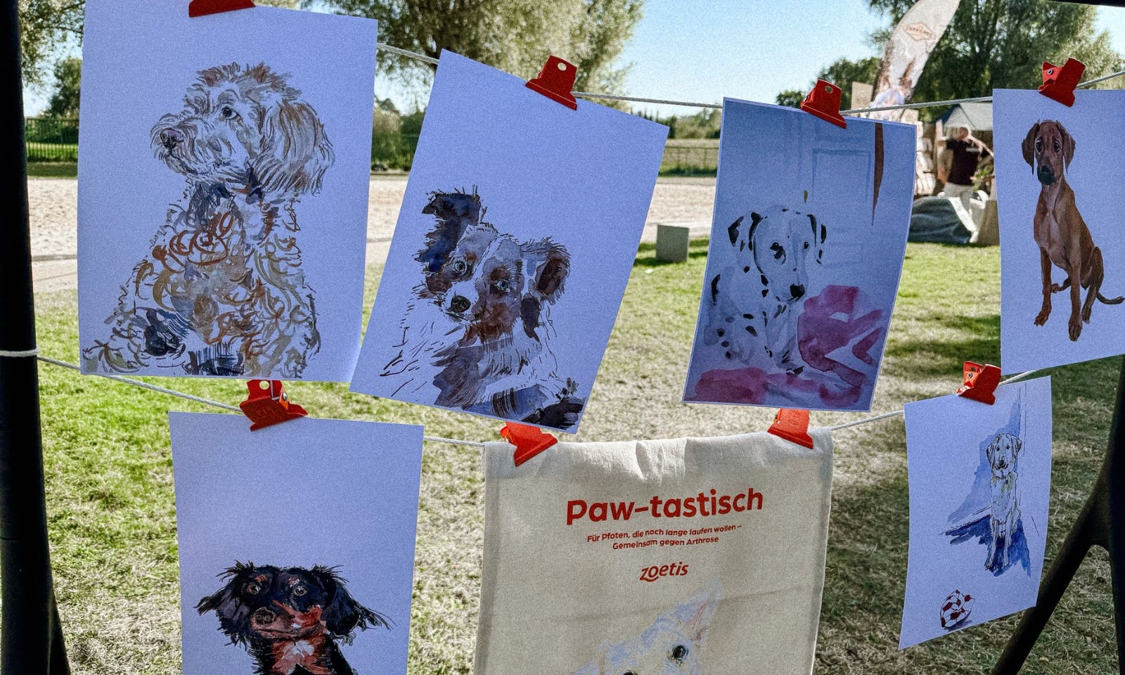 Pawlooza Hundefestival