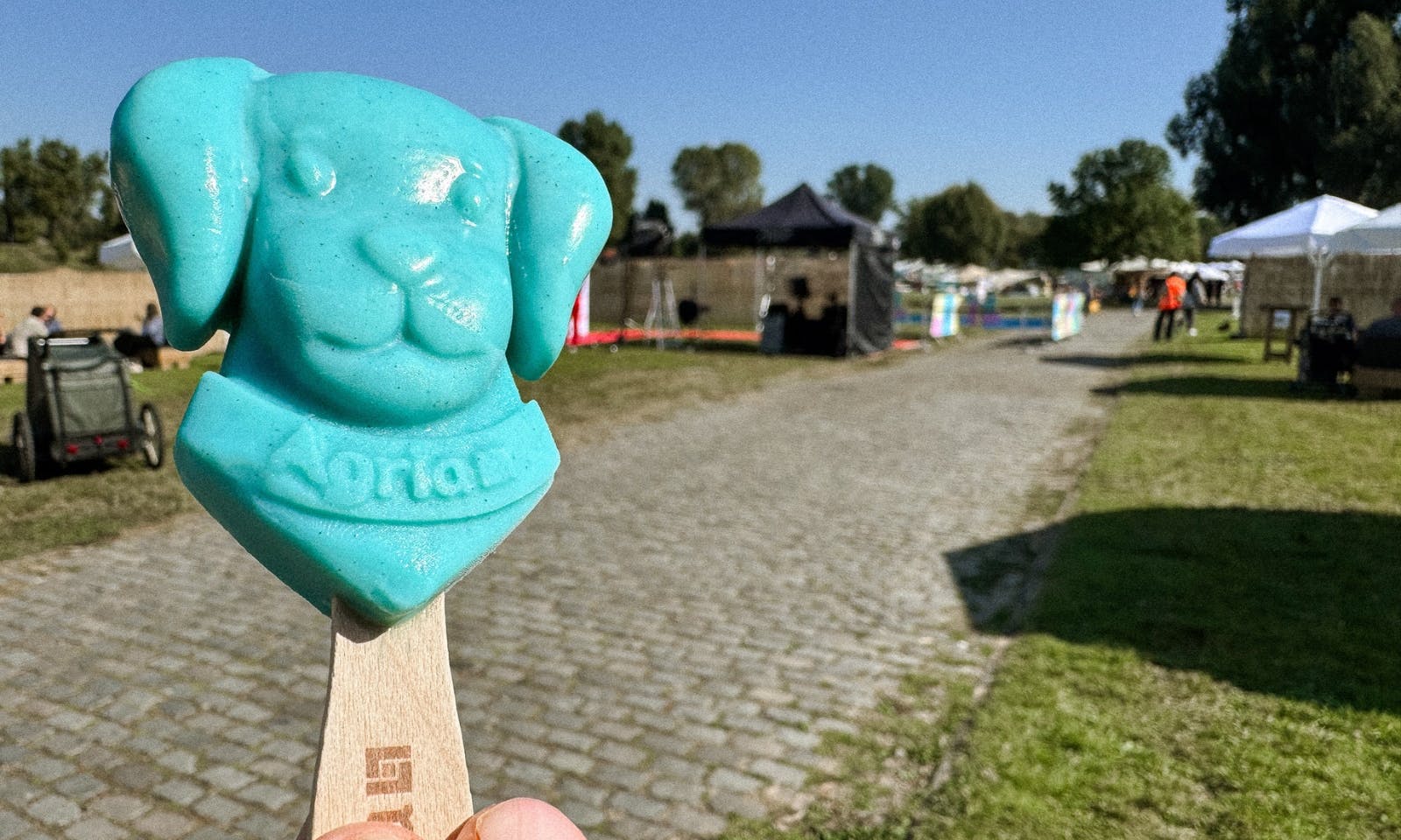 Pawlooza Hundefestival Agila