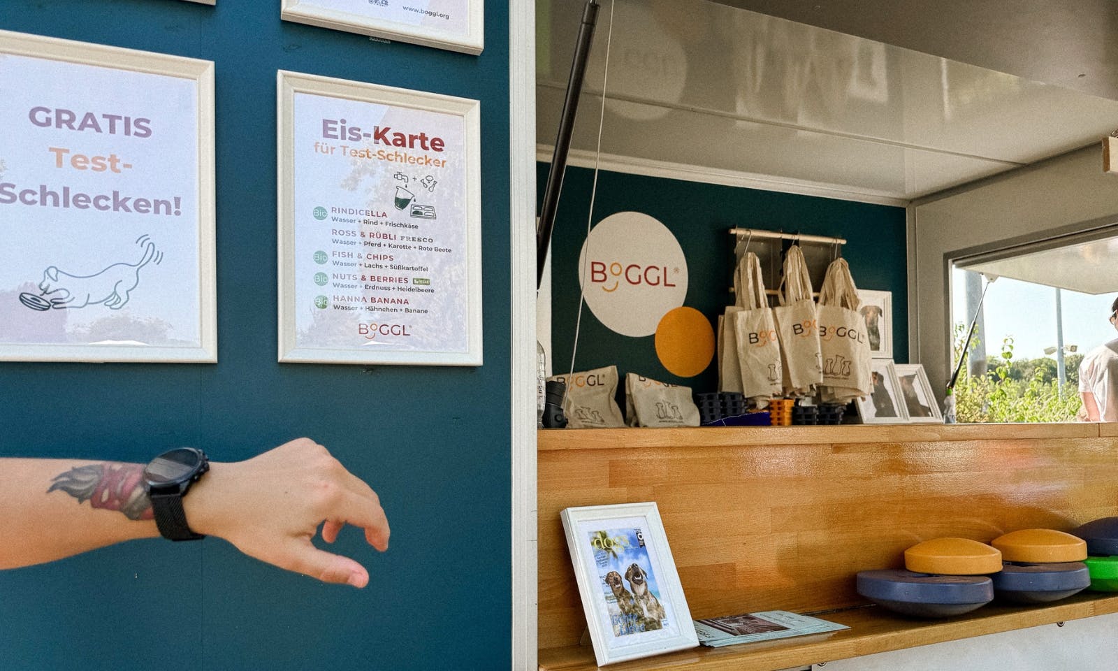 Boggle Eiswürfelform für Hunde