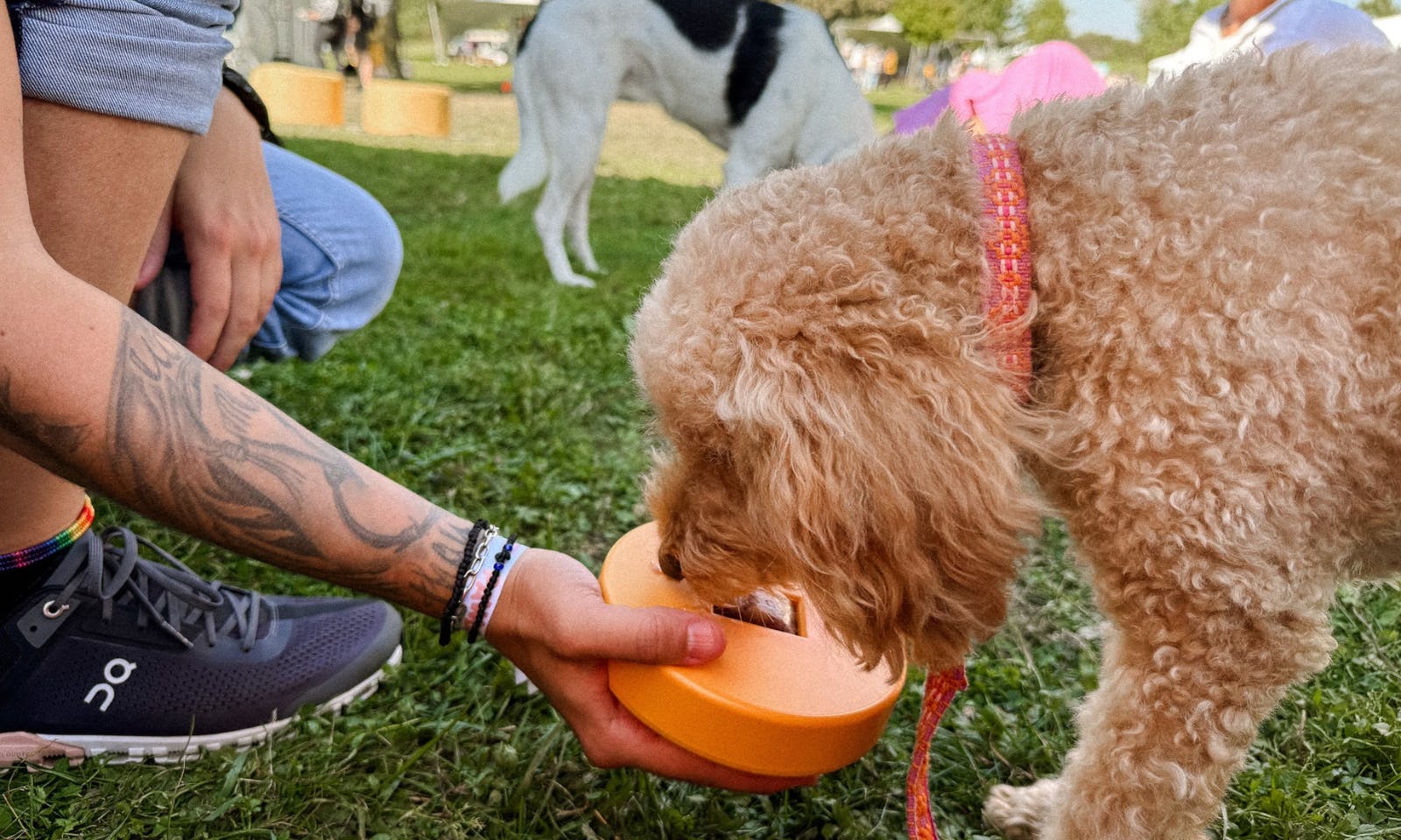 Boggle Eiswürfelform für Hunde