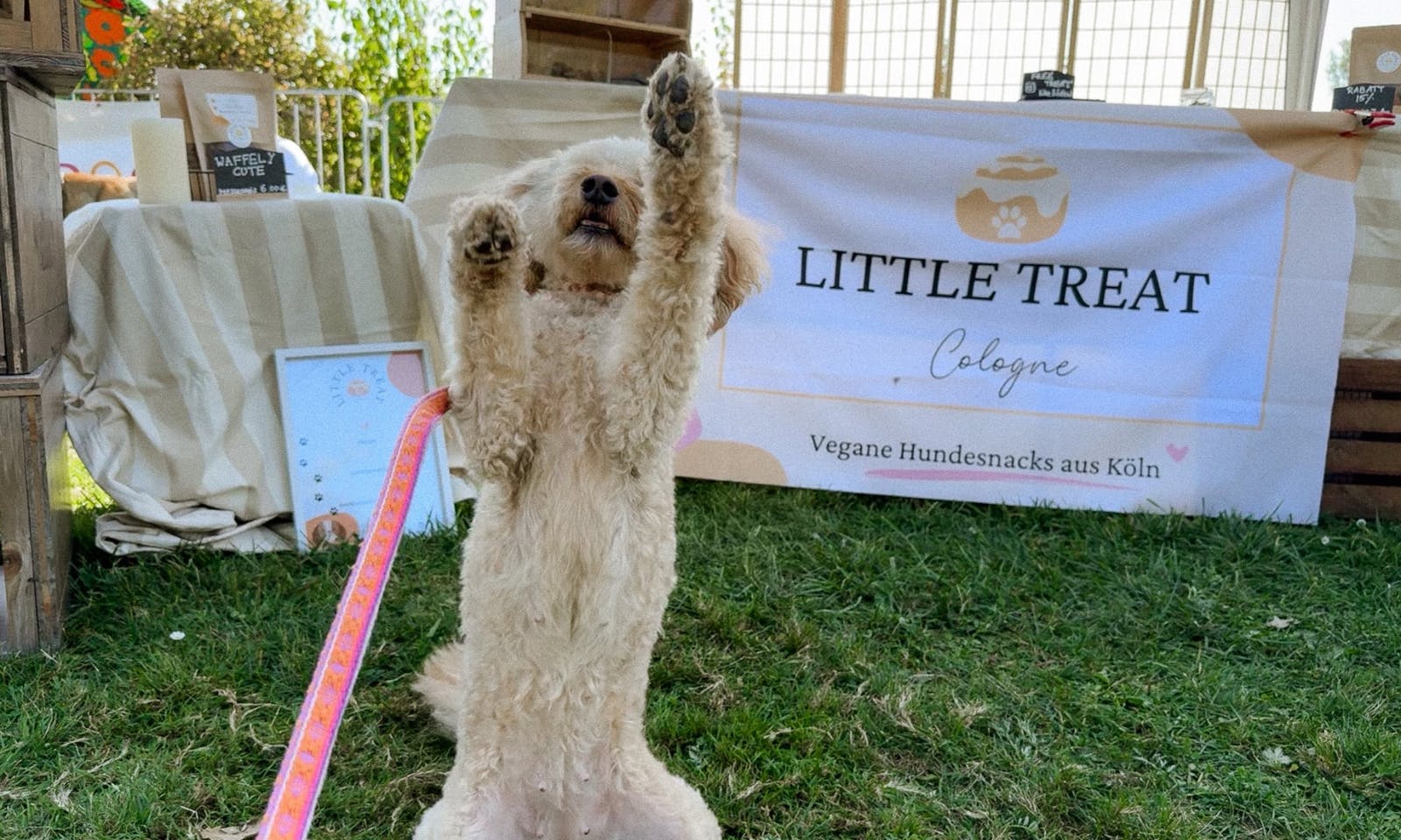 Little Treat Cologne