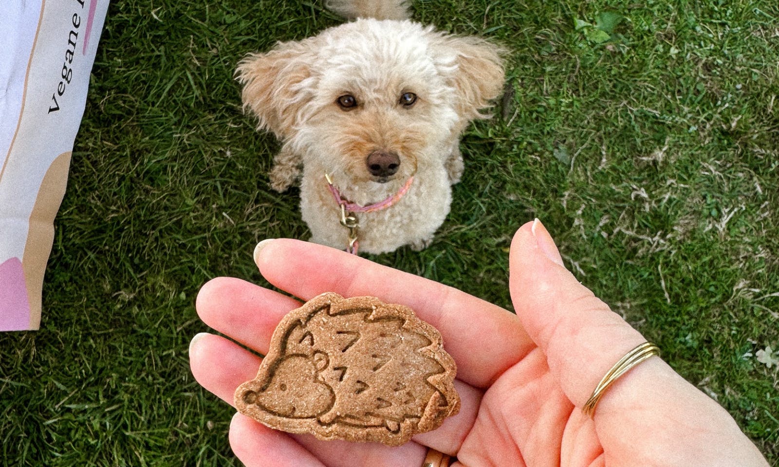 Little Treat Cologne