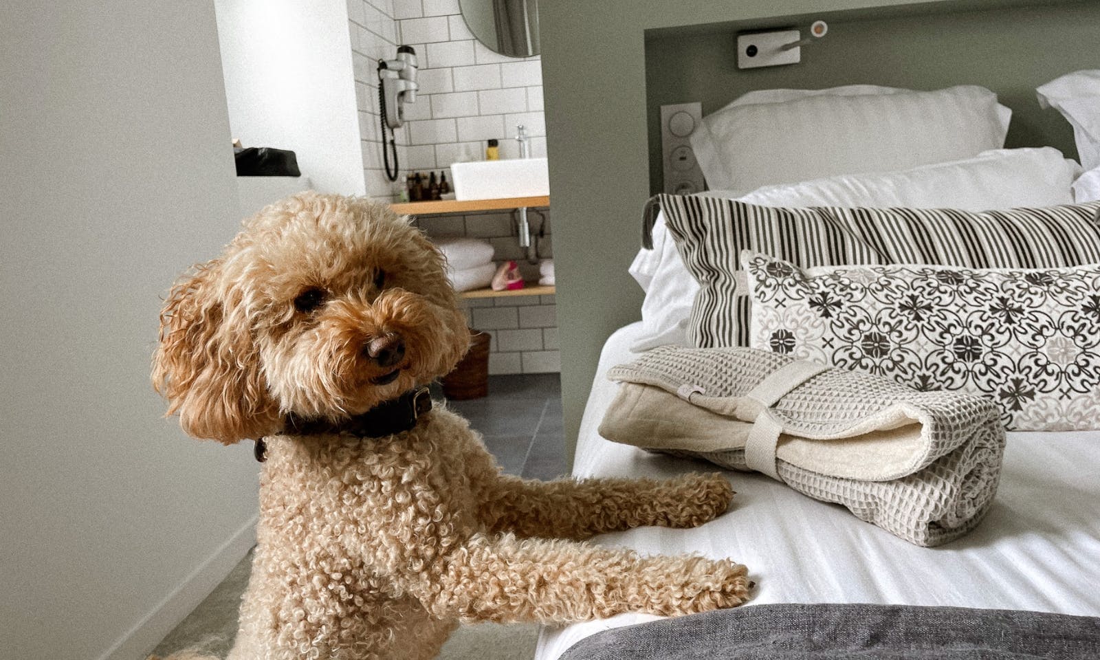 Pfotenhandtuch von Goldhund