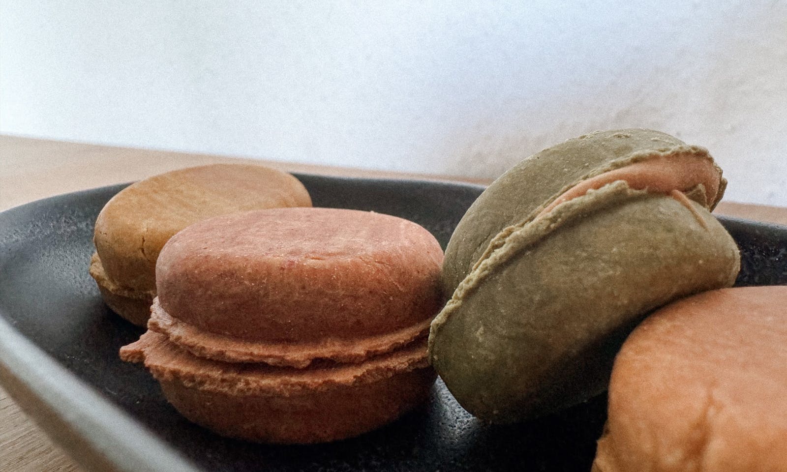 Docarons sind Macarons für Hunde
