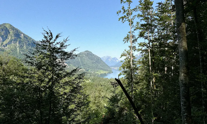 Wandern mit Hund in der Steiermark: 3 Seen Blick