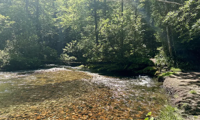 Ranftlmühle mit Hund baden
