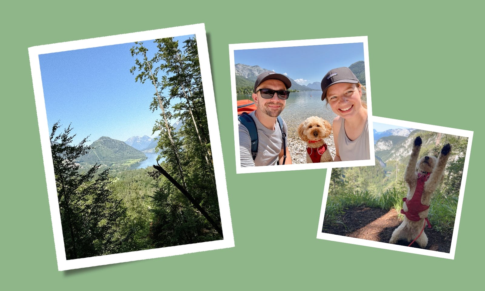Wandern mit Hund in der Steiermark: Entdecke den spektakulären Drei-Seen-Blick