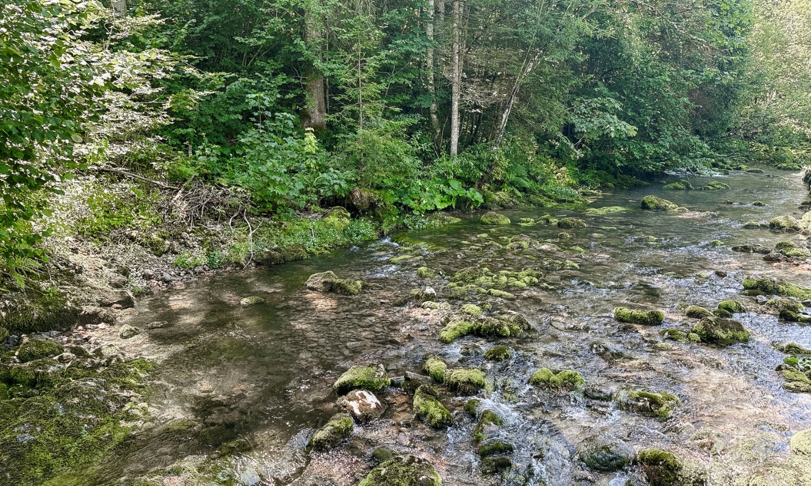 Wandern mit Hund in der Steiermark: 3 Seen Blick
