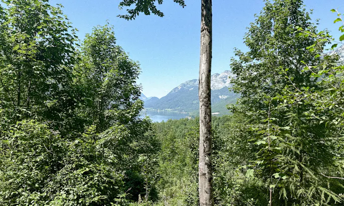 Wandern mit Hund in der Steiermark: 3 Seen Blick