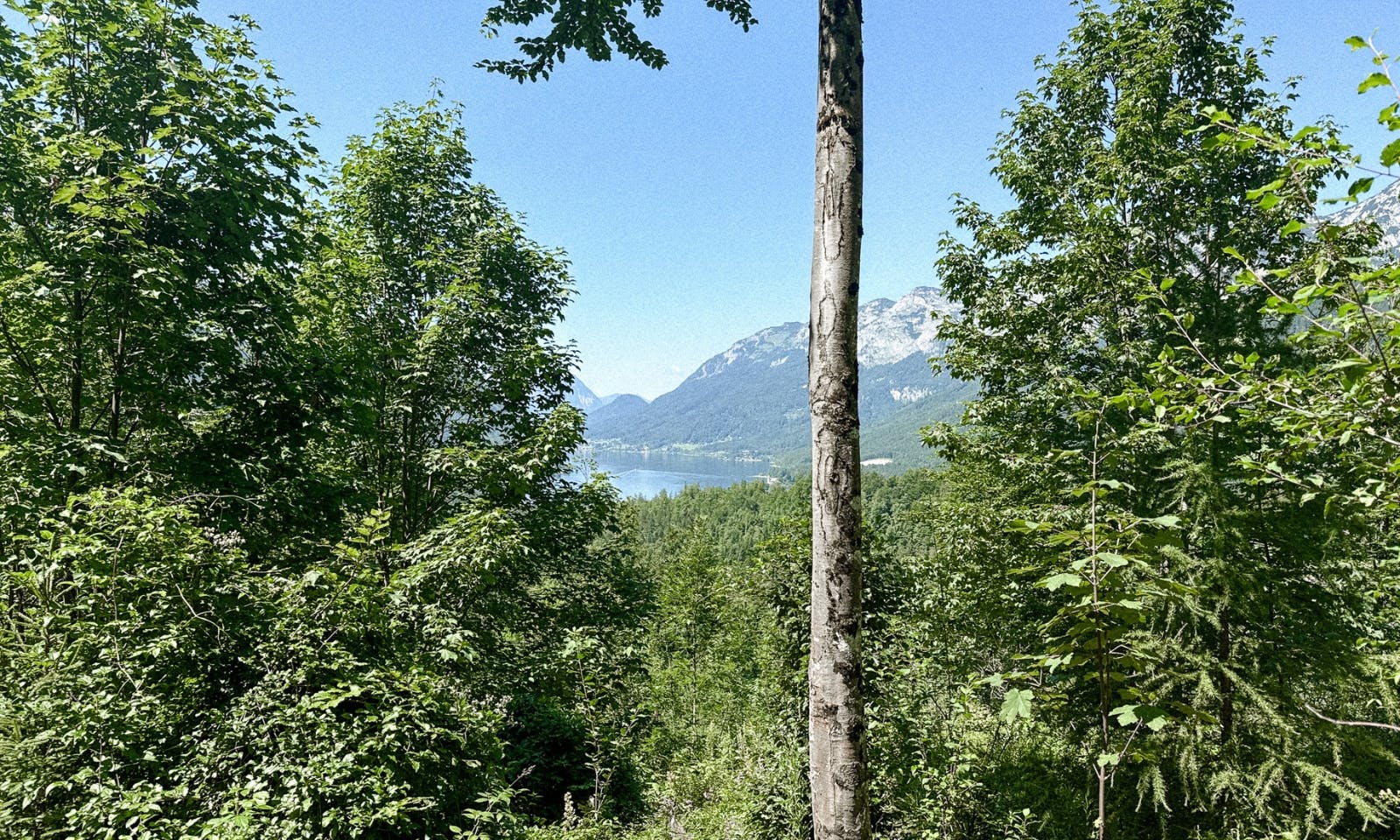 Wandern mit Hund in der Steiermark: 3 Seen Blick