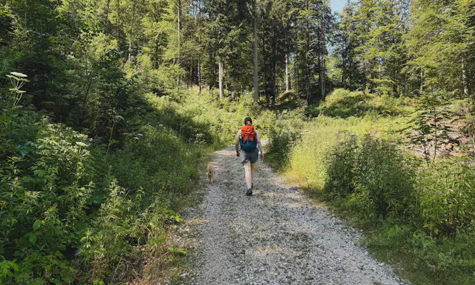3-Seen-Blick mit Hund in der Steiermark