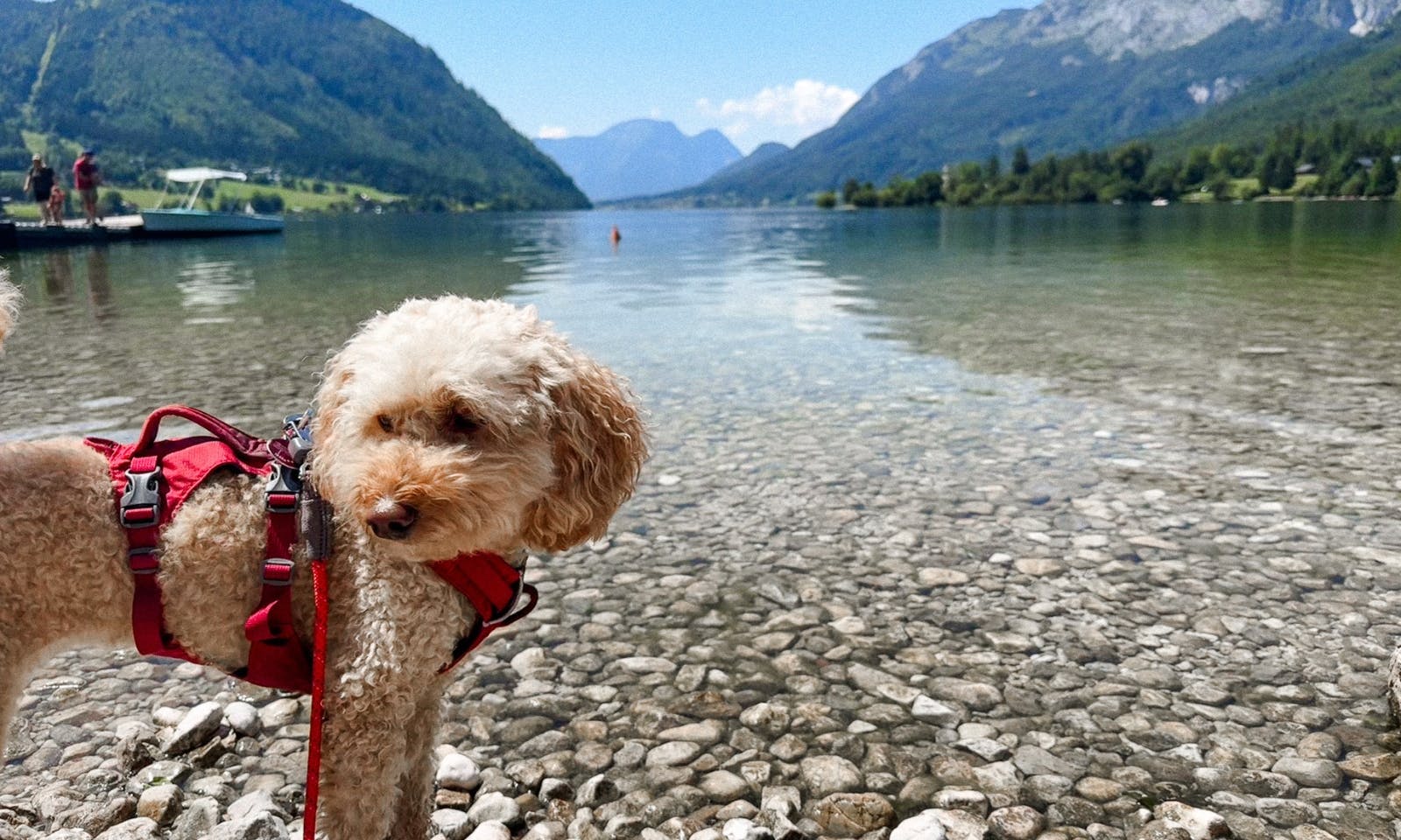 Wandern mit Hund in der Steiermark: 3 Seen Blick