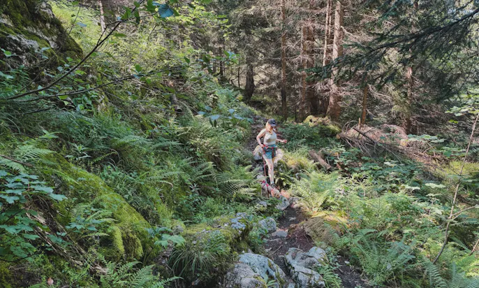 Wandern mit Hund in der Steiermark: 3 Seen Blick