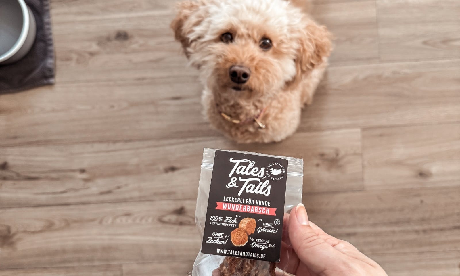 Hundeausstattung im Okelmann's Hotel in Warpe