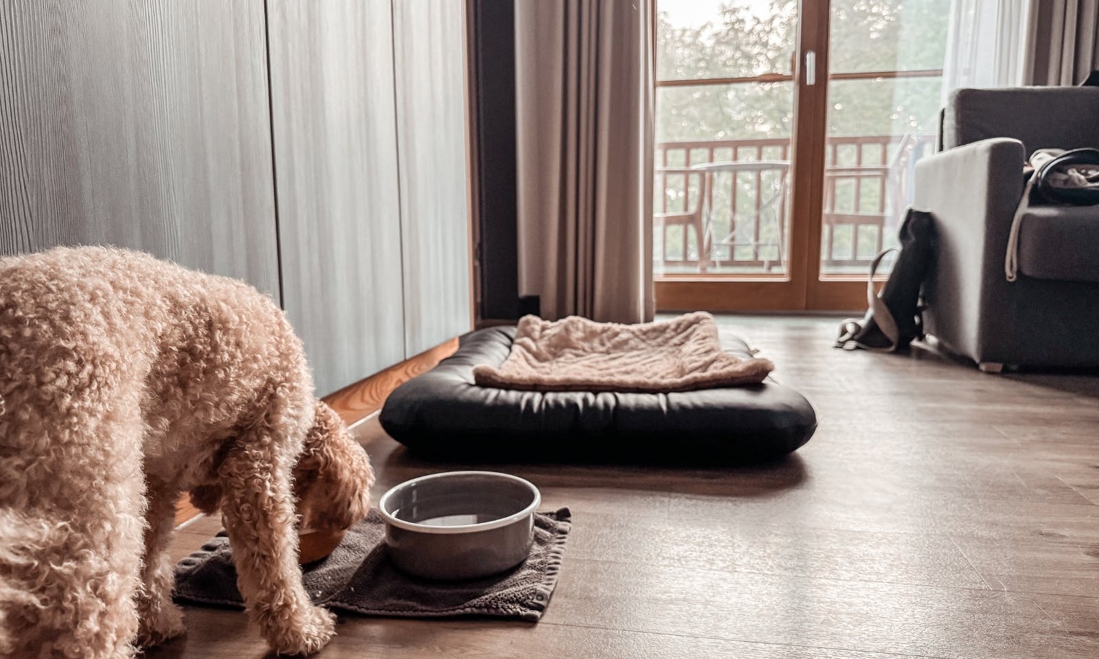 Ausstattung Hund im Okelmann's Hotel: Hundekörbchen, Näpfe, Leckerli