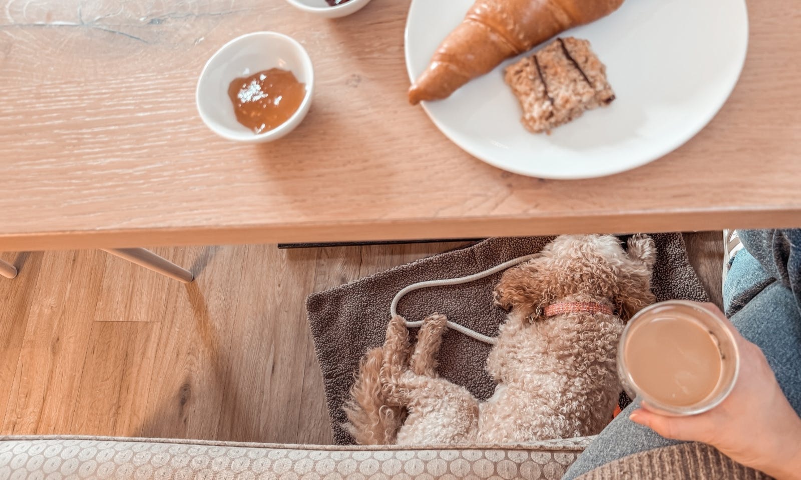 Frühstück mit Hund im Okelmann’s Café