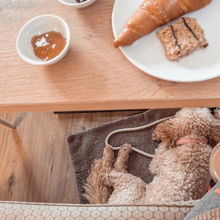 Yogahotel mit Hund im Okelmanns