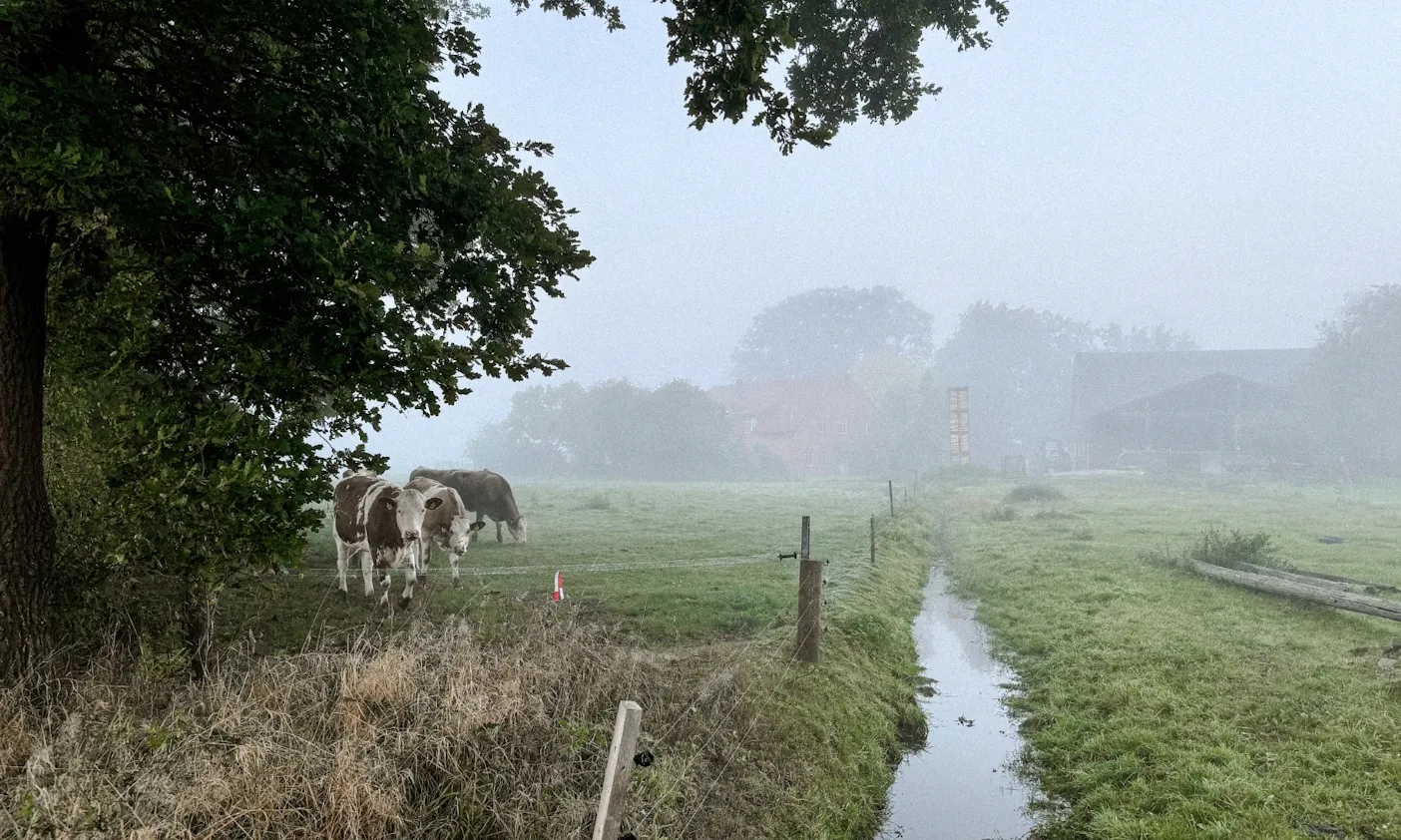 Warpe im Herbst