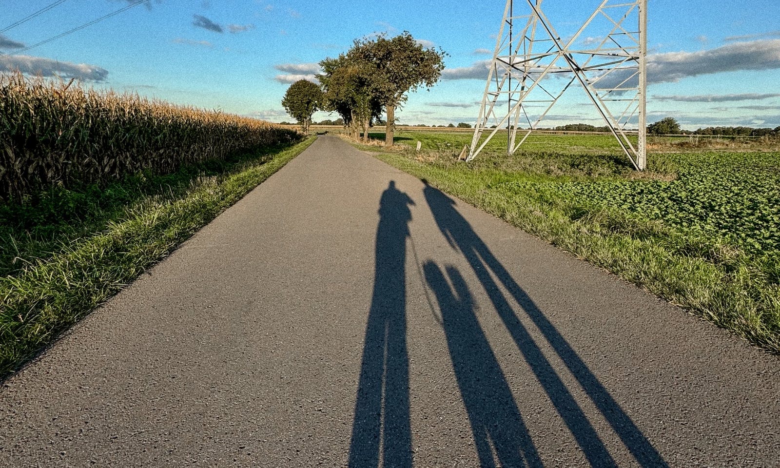 Hund auf der Gassirunde in Warpe in Niedersachsen