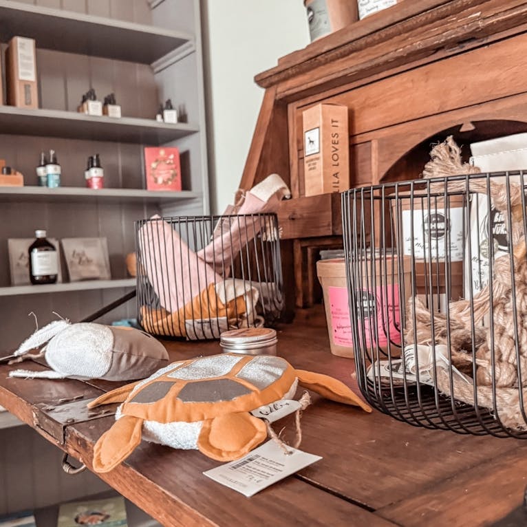 Yogahotel mit Hund im Okelmanns
