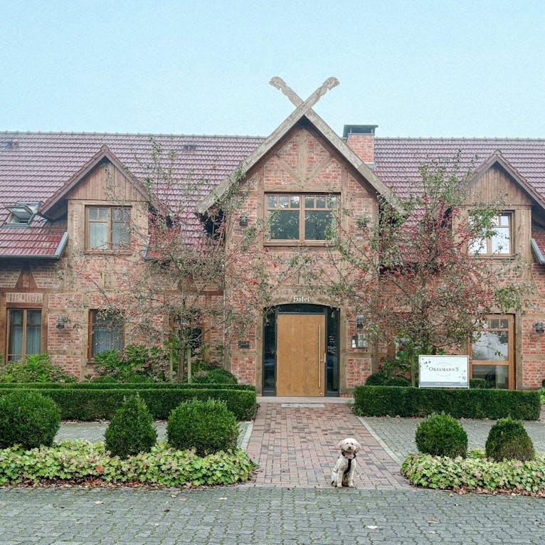 Yogahotel mit Hund im Okelmanns