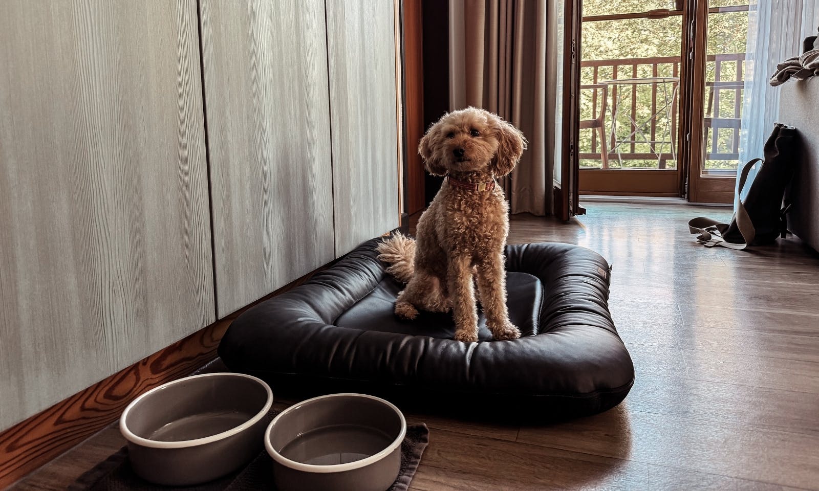 Hundeausstattung im Okelmann's Hotel in Warpe