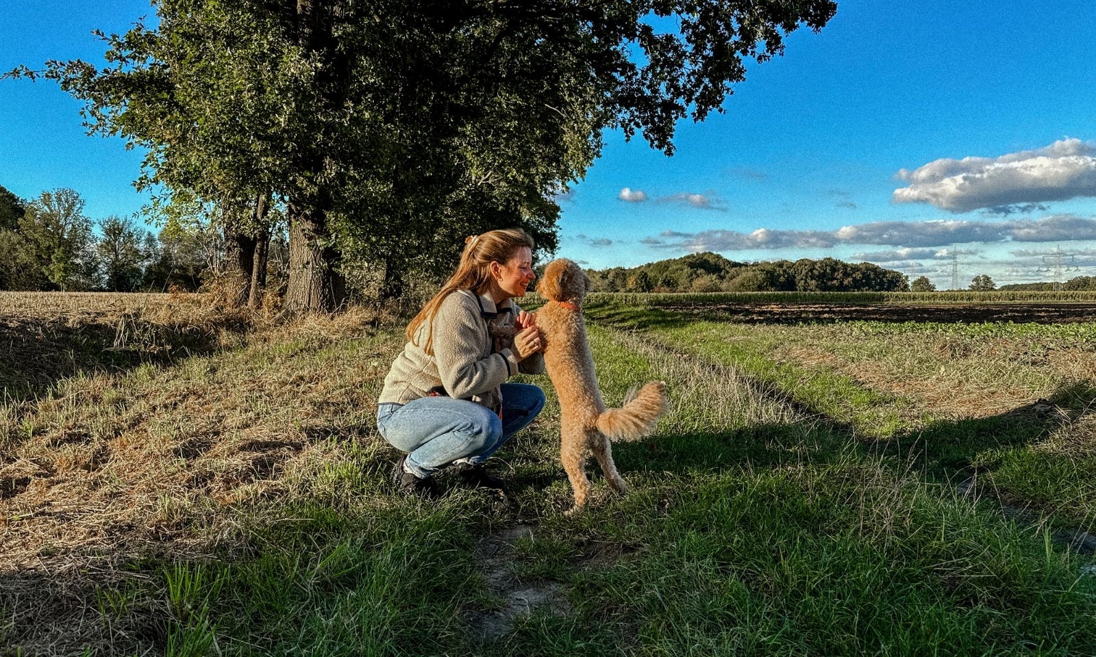 Frau spiel mit ihrem Hund auf einem Feld