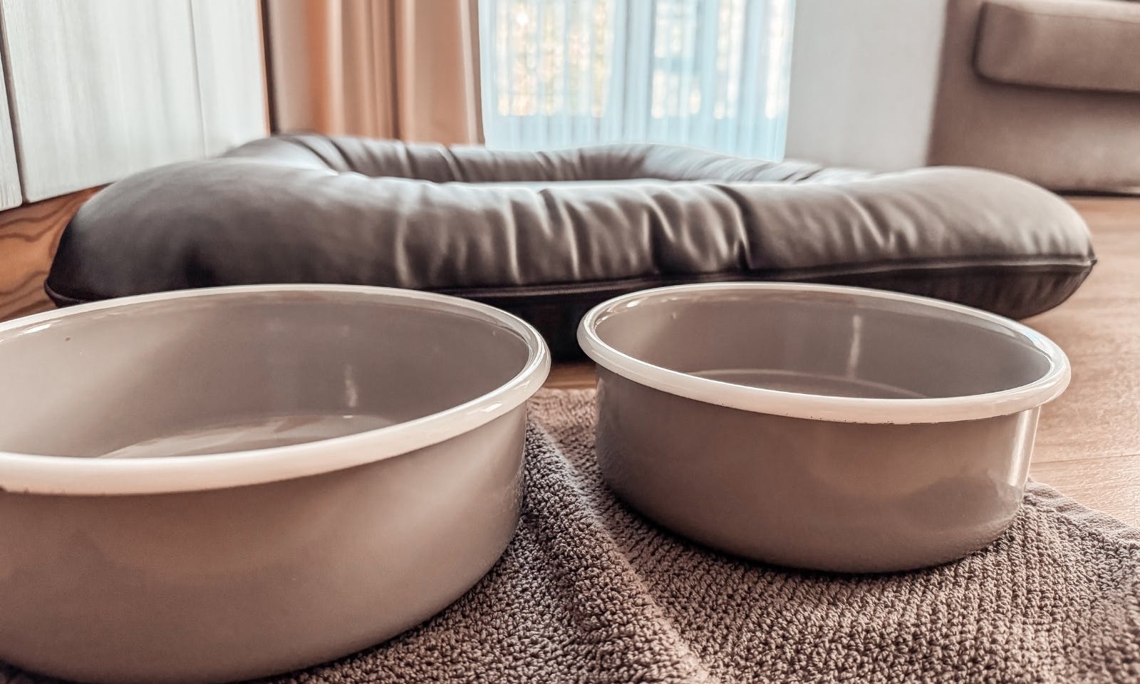 Hundeausstattung im Okelmann's Hotel in Warpe