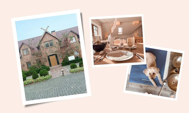 Yoga Retreat mit Hund