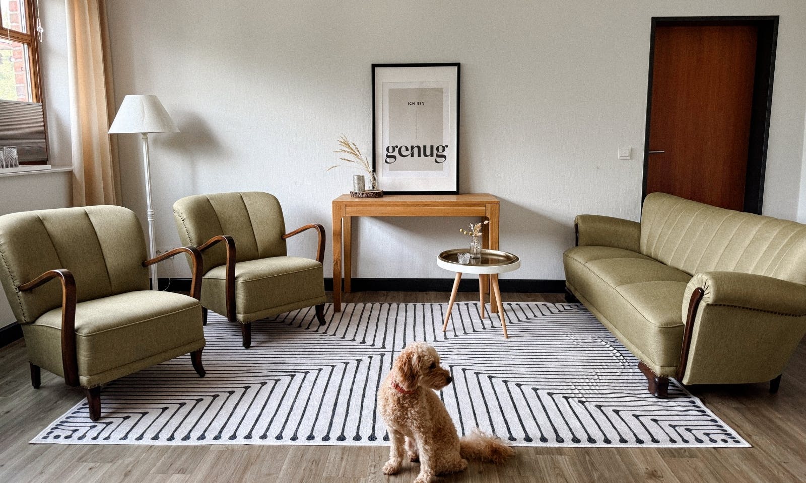 Pudel im hundefreundlichen Yoga-Hotel in Niedersachsen