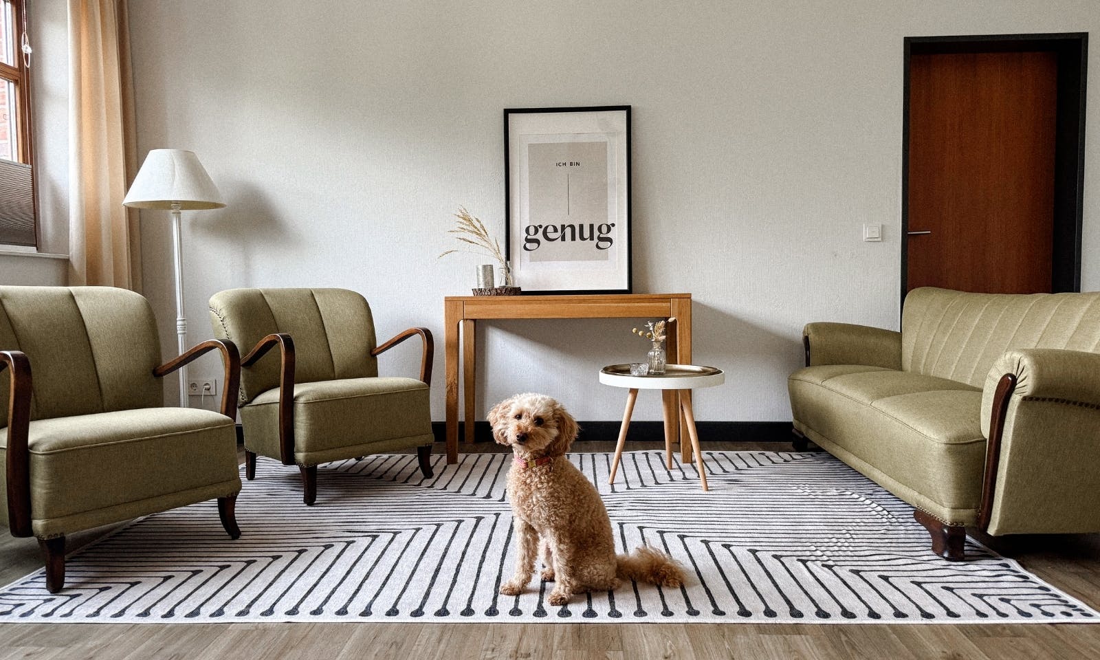 Pudelmischling beim Yin-Doga mit Hund