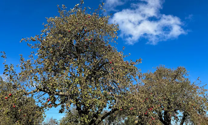 Herbst in Warpe