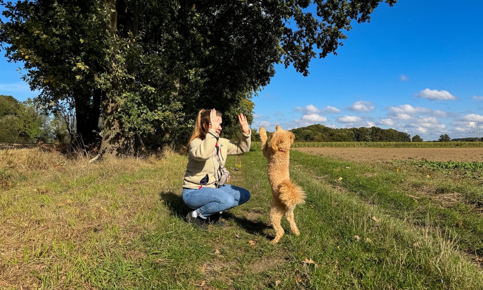 Frau und Mini Goldendoodle Java in Warpe im Herbst am Tricksen