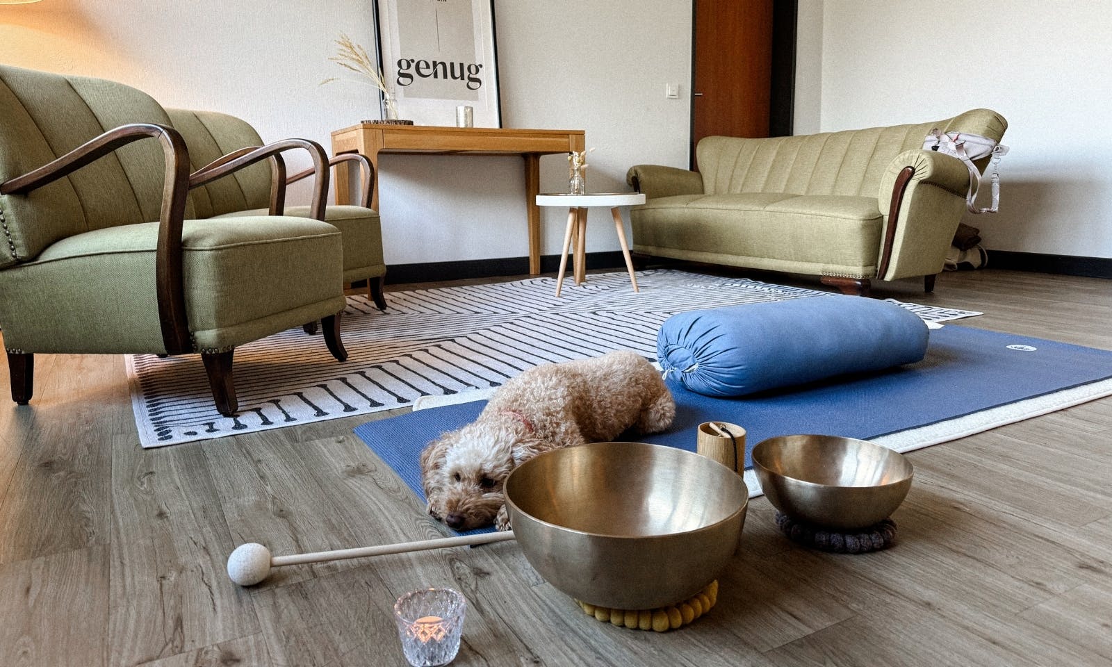 Pudelmischling beim Yin-Doga mit Hund