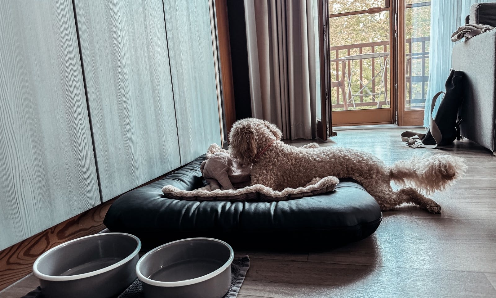 Hundefreundliches Yoga-Retreat-Hotel Okelmann's in Niedersachsen