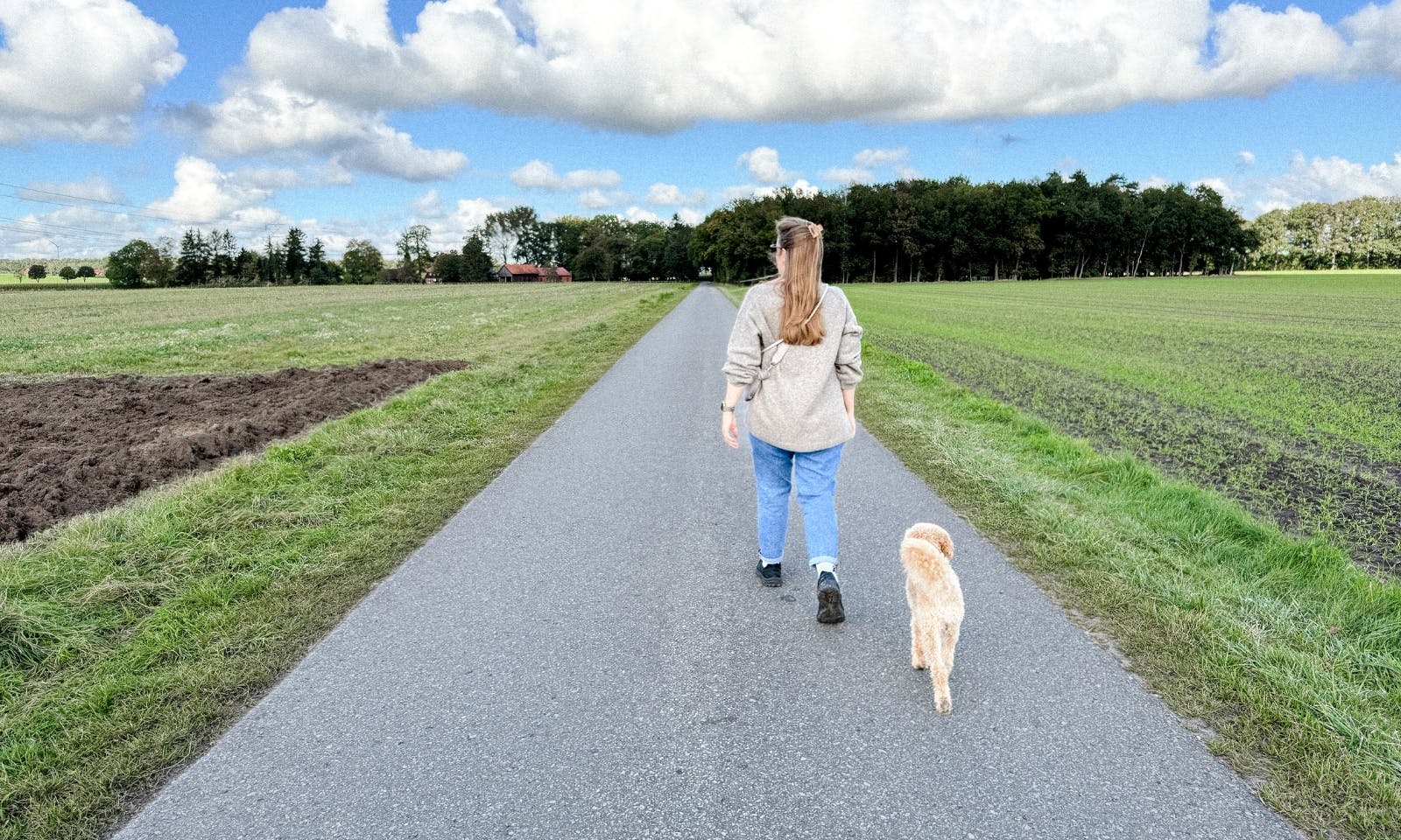 Spazieren gehen in Warpe mit Hund