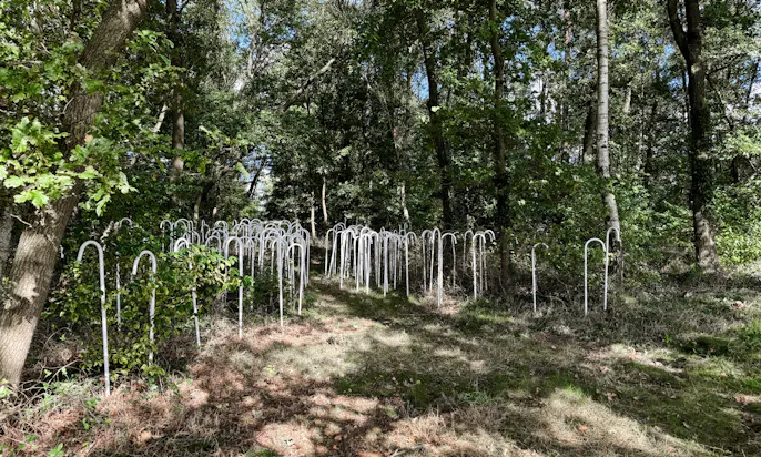 Skulpturenweg in Warpe
