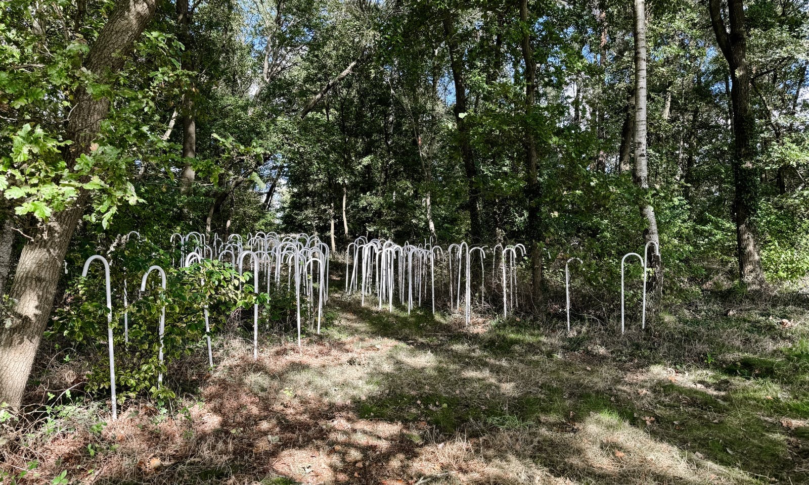 Skulpturenweg in Warpe