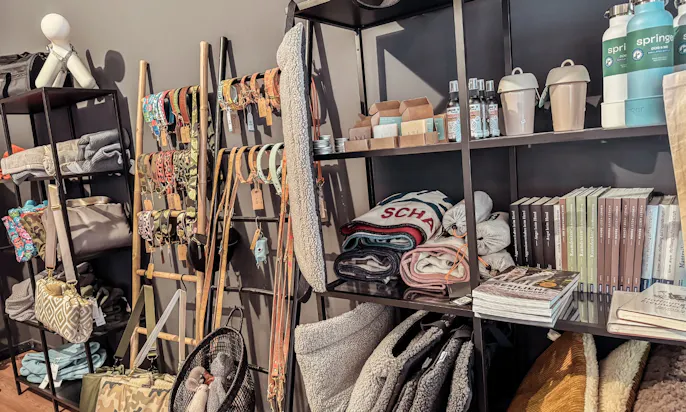 Hundeboutique in Düsseldorf Flingern düsselhunde