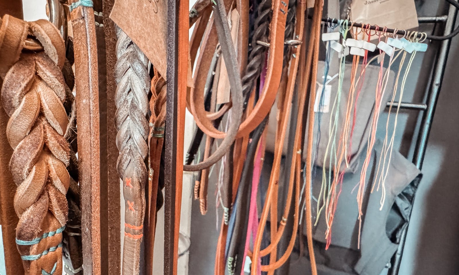 Hundeleine aus Düsseldorf: düsselhunde ID-Collection