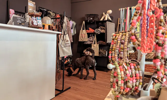Düsselhunde Concept Store